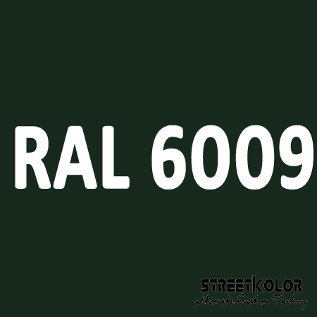 RAL 6009 Akril autófesték fényes vagy matt 1 liter + fixáló + hígító