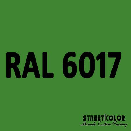 RAL 6017 Akril autófesték fényes vagy matt 1 liter + fixáló + hígító