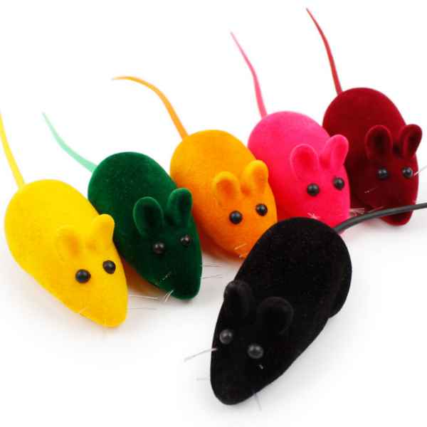 Cat toy