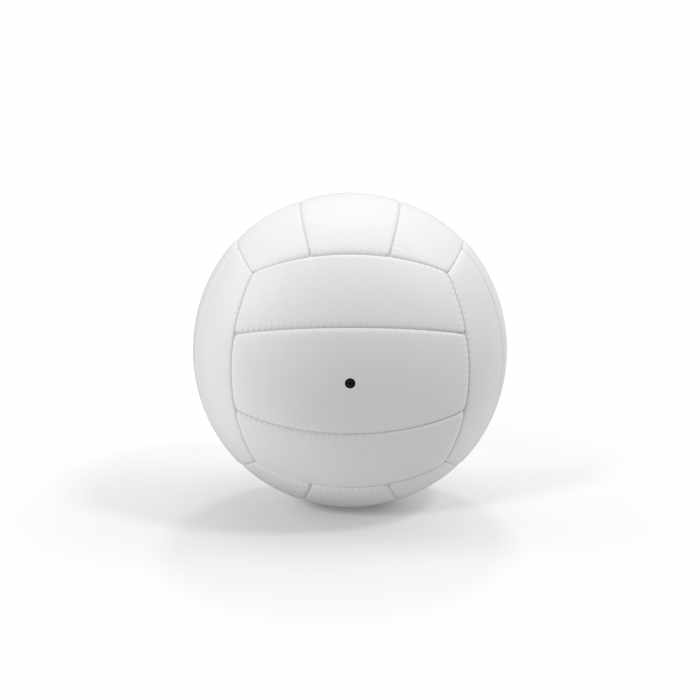 Volleyball WHT8702