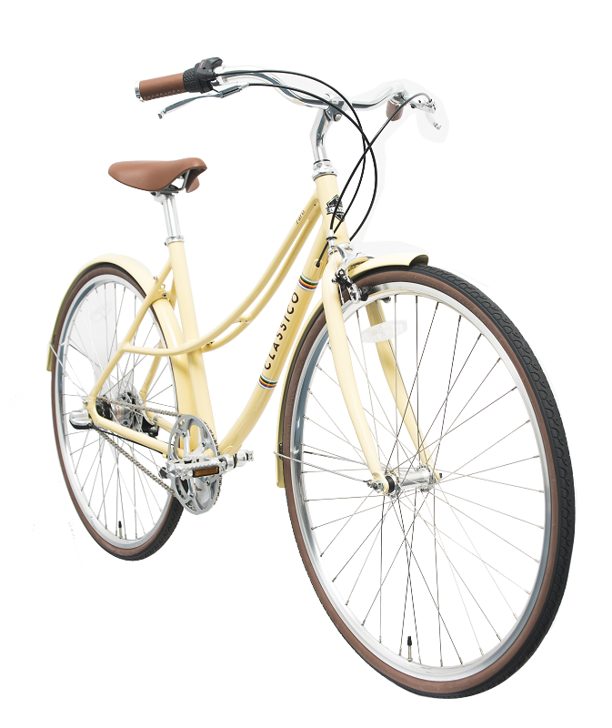 Women's bicycle type swe98r