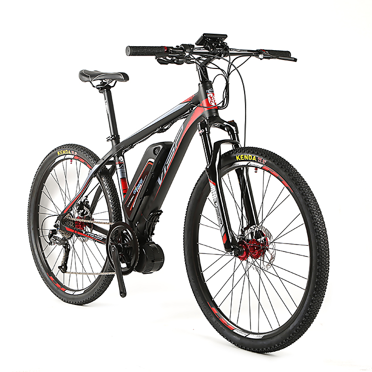 Electric bike type eb52